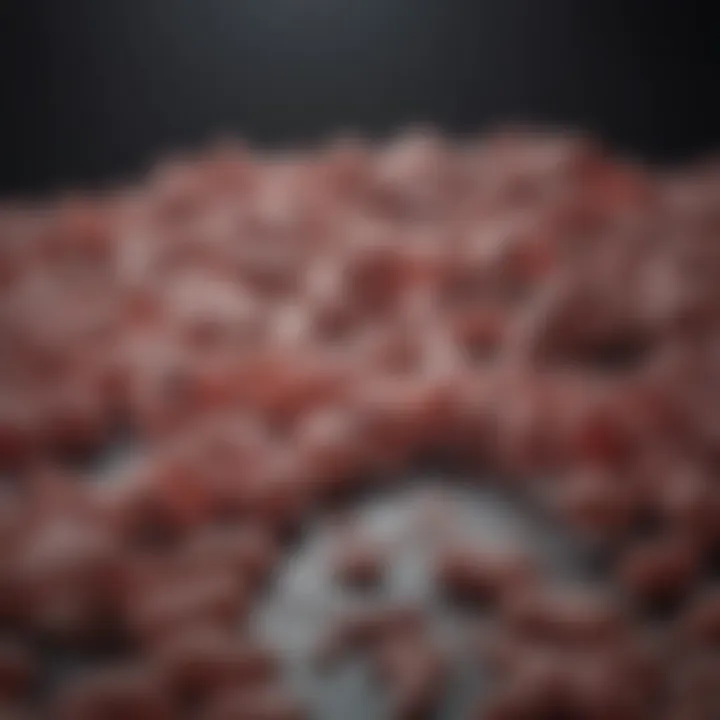 Clinical manifestations of E. Coli mastitis