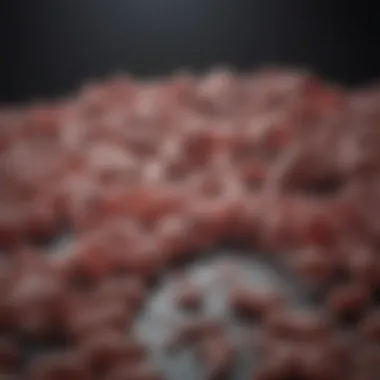 Understanding Clinical Manifestations Clinical manifestations of E. Coli mastitis