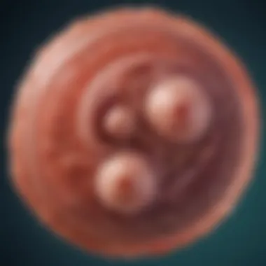 The Protozoan Parasite Responsible for Trichomoniasis Illustration depicting Trichomonas vaginalis