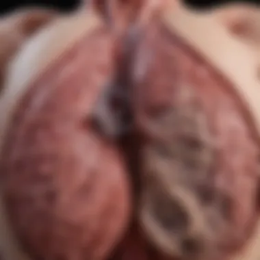 Understanding a 5 cm Tumor in the Lung: Clinical Implications and Insights Introduction