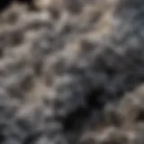 Close-up of airborne asbestos fibers under a microscope