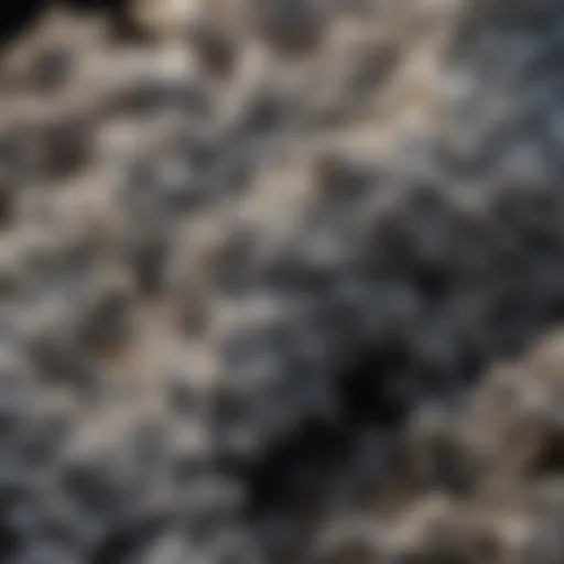 Close-up of airborne asbestos fibers under a microscope