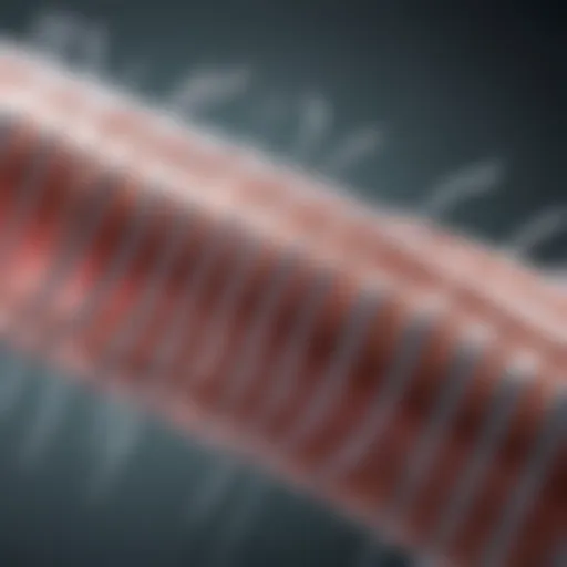 Diagram showcasing various types of airway stents