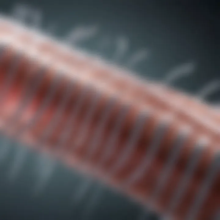 Diagram showcasing various types of airway stents