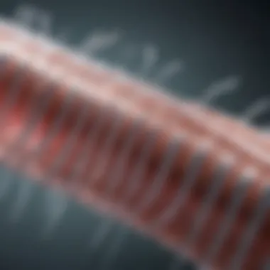 Diverse Types of Airway Stents Diagram showcasing various types of airway stents