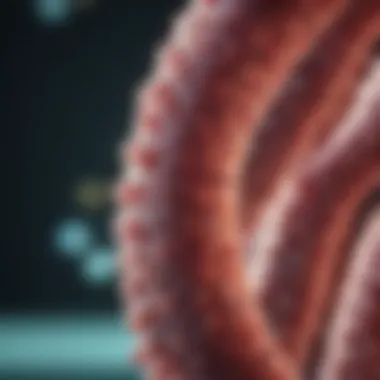 Diagnostic Criteria for Bacterial Colitis Chart showing diagnostic criteria for bacterial colitis