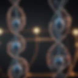 Conceptual representation of genetic structures related to balanced translocations