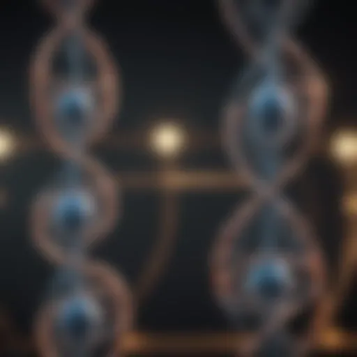 Conceptual representation of genetic structures related to balanced translocations