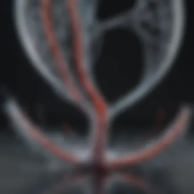Anatomy of a Balloon Stent Detailed diagram of a balloon stent showing its components and structure
