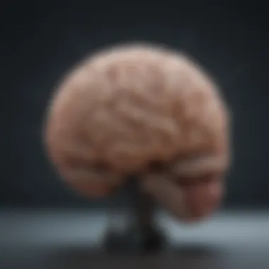 Impact of Brain Function on Creativity and Learning An infographic illustrating the impact of brain function types on creativity and learning.