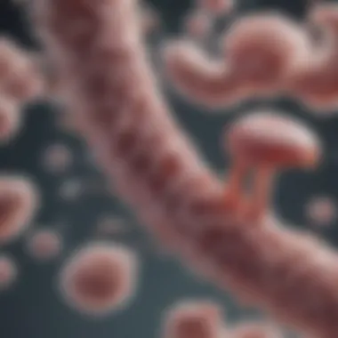 Clinical Manifestations of Candida albicans Infections Clinical manifestations associated with Candida albicans infections