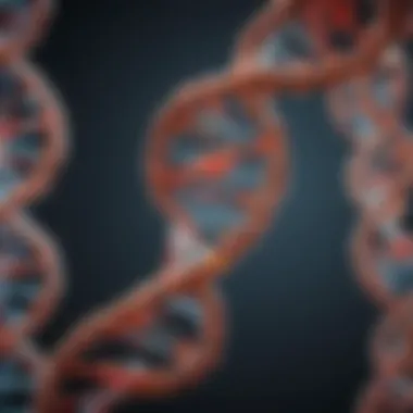 Diagram of DNA repair mechanisms addressing mutations