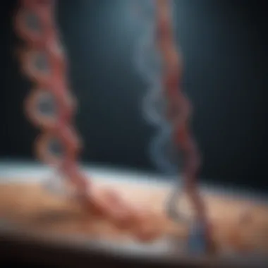 Advancements in DNA Mutation Research Research advancements related to understanding DNA mutations