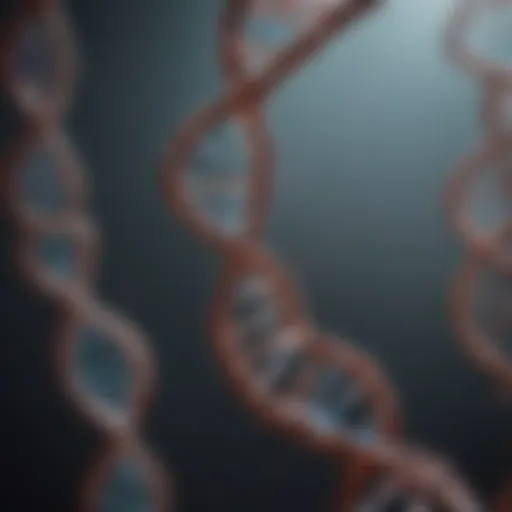 An illustration depicting various types of DNA mutations