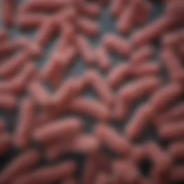 Understanding E. coli K-12: Biology, Applications, and Implications Summary Understanding E. coli K-12: Biology, Applications, and Implications Summary