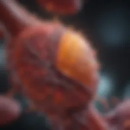 Diagram illustrating liver function and enzyme activity