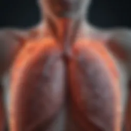 Detailed infographic of lung cancer staging