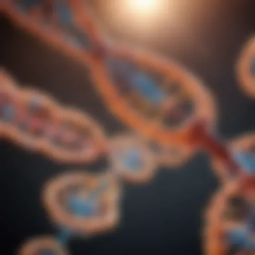 Illustration of gene structure showing key components.