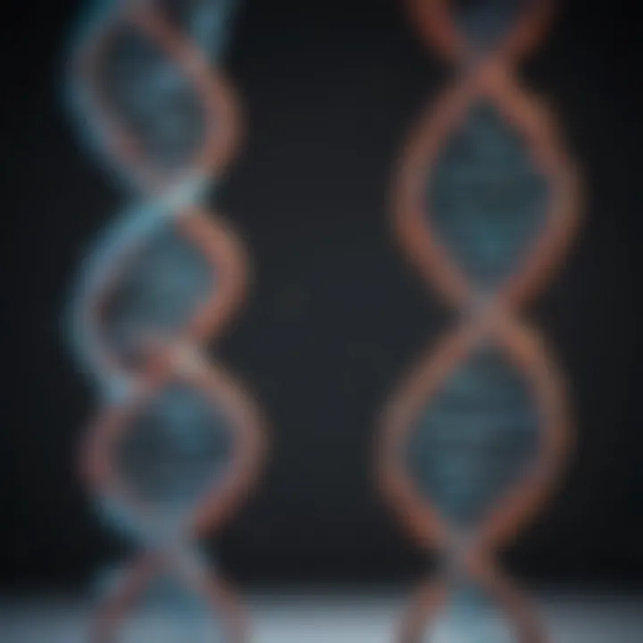 Visual representation of transcription factors interacting with DNA.