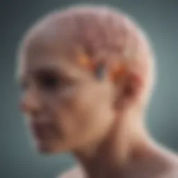 A detailed brain scan highlighting glioblastoma