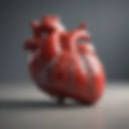 Detailed diagram illustrating various types of heart cancer