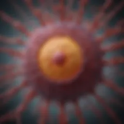 Visual representation of Hepatitis D virus structure