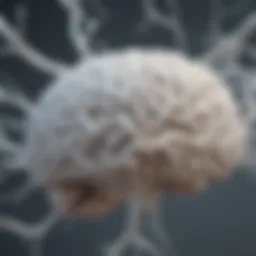 Illustration depicting white matter changes in the brain