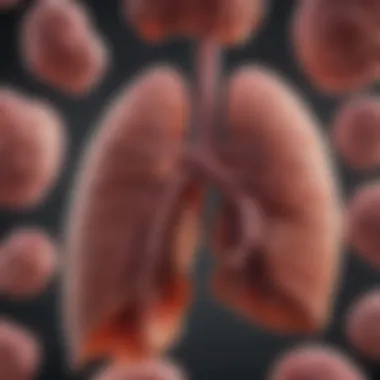 Diagram illustrating the types of liver storage diseases