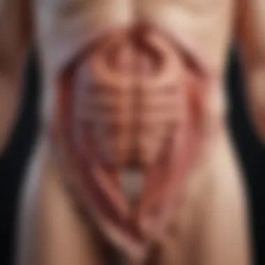 Symptoms of Lower Intestinal Infections Diagram illustrating the symptoms associated with lower intestinal infections.