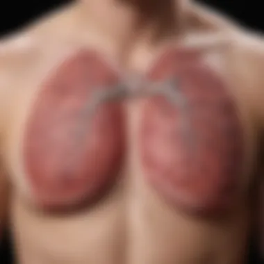 Symptoms of Lung Exacerbations Infographic showing the symptoms associated with lung exacerbations