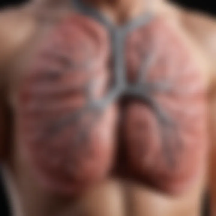 Diagram illustrating common triggers of lung exacerbations