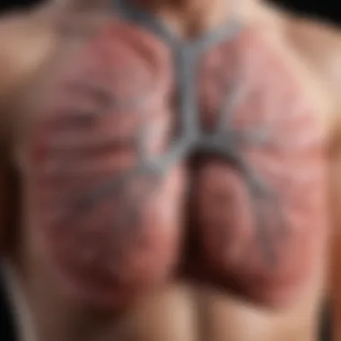 Common Triggers of Lung Exacerbations Diagram illustrating common triggers of lung exacerbations