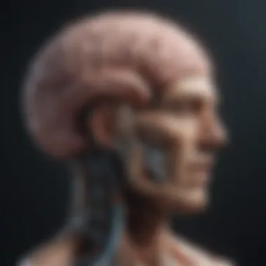 The Brain's Reaction to Motion Sensitivity Illustration depicting the brain's response to motion stimuli