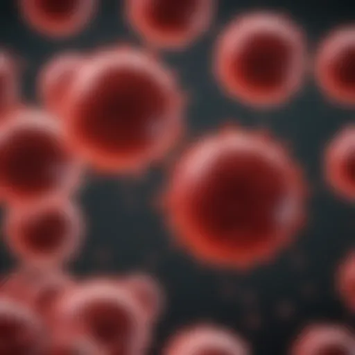Detailed diagram depicting the blood cell production process affected by polycythemia vera