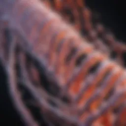Diagram illustrating the transcription process in protein synthesis