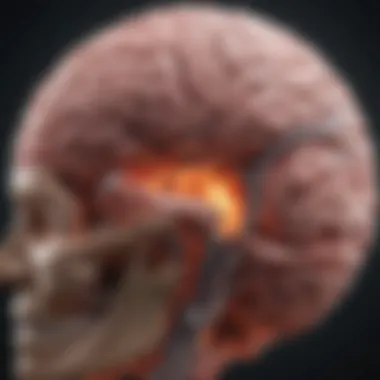 Impact on Neurological Function Visualization of the impact of secondary brain tumors on neurological function.