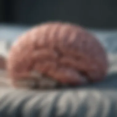 Visual illustration of brain activity during different sleep stages
