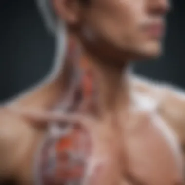 Understanding COPD Pathophysiology Diagram of COPD pathophysiology