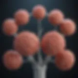 Detailed diagram illustrating the stages of prostate cancer progression