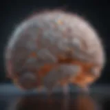 A close-up of a brain with neural connections illuminated, representing the biological basis of worry.