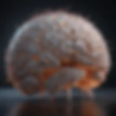 Biological Foundations of Worry A close-up of a brain with neural connections illuminated, representing the biological basis of worry.