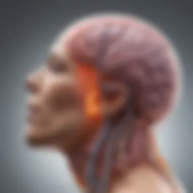 Diagram showcasing hormones produced by the pituitary gland