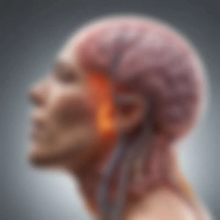 Diagram showcasing hormones produced by the pituitary gland