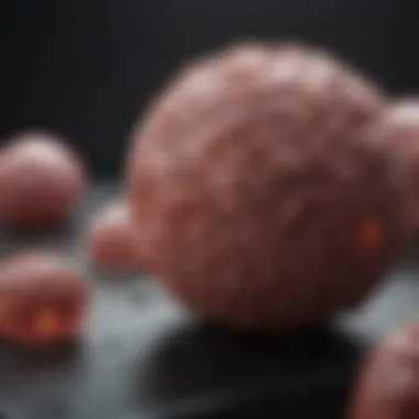 Diagnostic Approaches for AML Relapse Illustration of diagnostic methodologies for AML