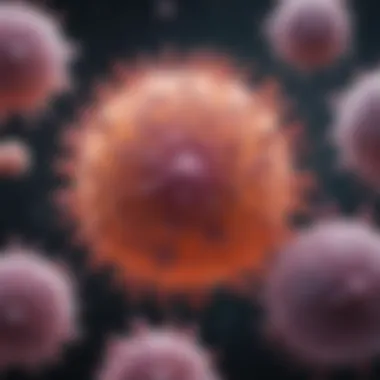 Microscopic view of triple negative inflammatory breast cancer cells