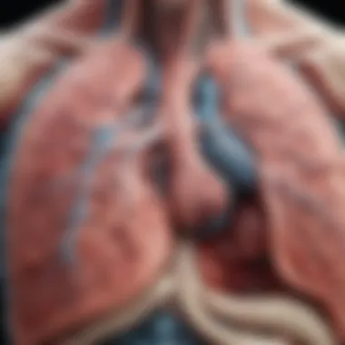 Anatomical Overview of Visceral Pleural Invasion Illustration depicting the anatomy of the lung highlighting visceral pleural invasion