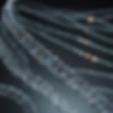 Visualizing Genome Sequencing A detailed representation of the genome sequencing process showing DNA strands and sequencing technology.