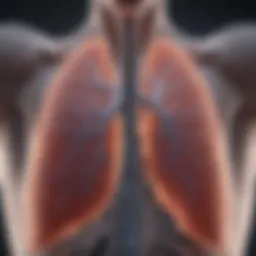 Diagram illustrating fluid accumulation in the lungs
